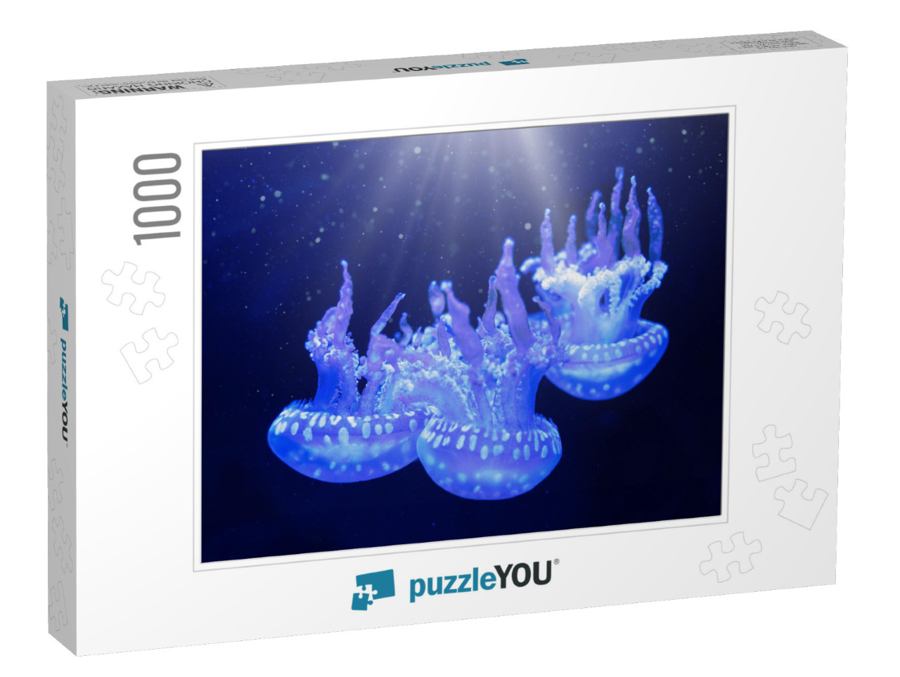 Jellyfish Underwater. Spotted Lagoon Jellyfish Mastigias... Jigsaw Puzzle with 1000 pieces