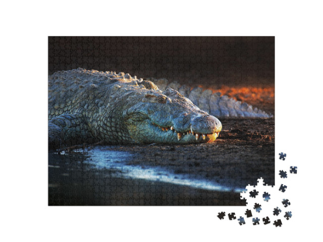 Nile Crocodile Crocodylus Niloticus on Riverbank with Las... Jigsaw Puzzle with 1000 pieces