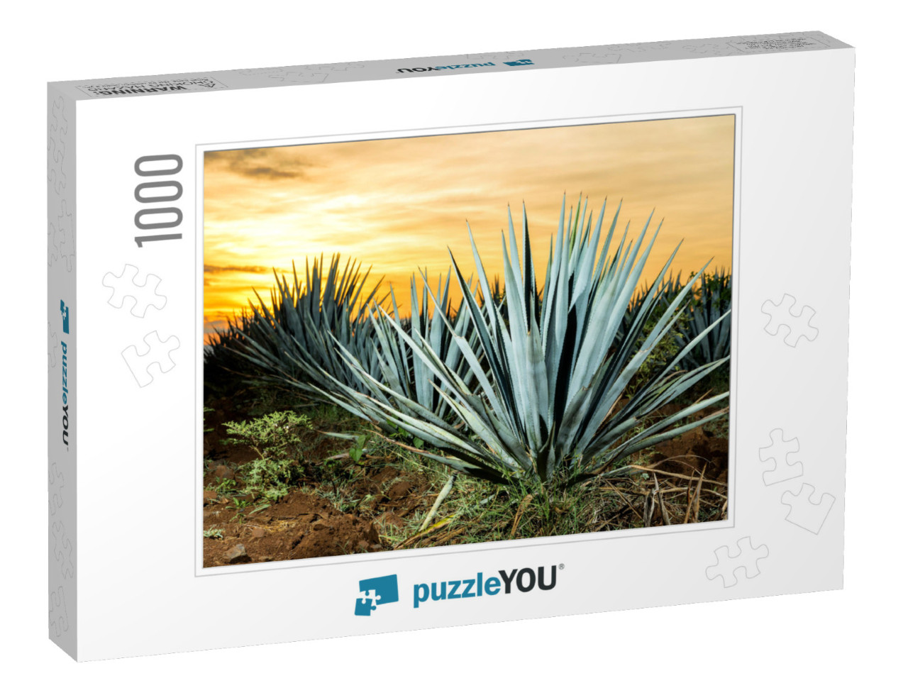 Sunset Landscape of a Tequila Plantation, Guadalajara, Me... Jigsaw Puzzle with 1000 pieces