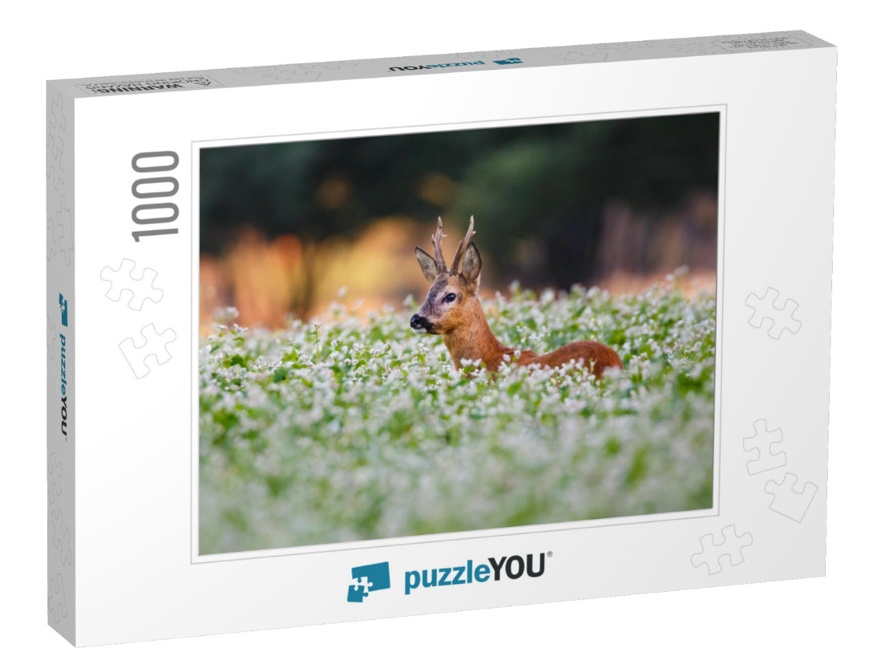 Roe Deer in a Field of Flowers... Jigsaw Puzzle with 1000 pieces