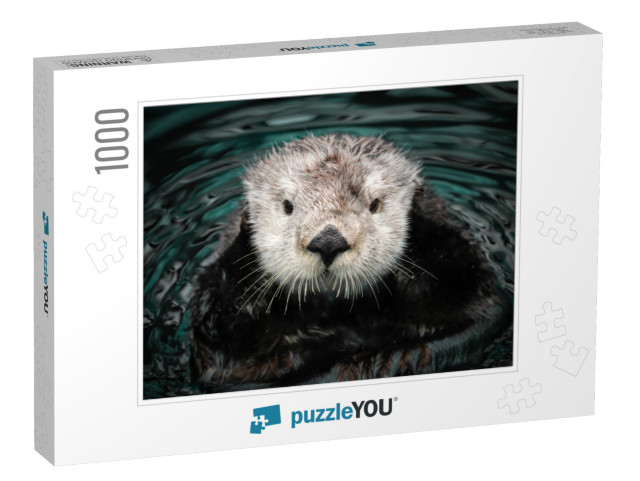 Sea Otter Posing in the Water... Jigsaw Puzzle with 1000 pieces