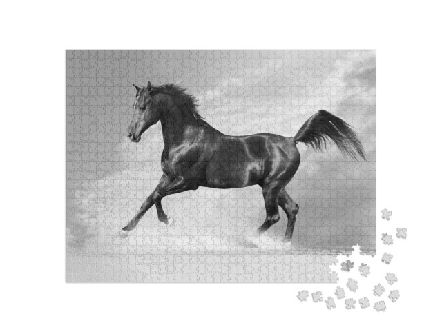 Black Arab Horse in Winter in Monochrome Tone... Jigsaw Puzzle with 1000 pieces