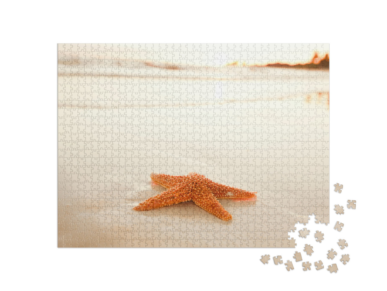 Starfish Shell on Beach in Sunrise Light, Seascape, Live... Jigsaw Puzzle with 1000 pieces