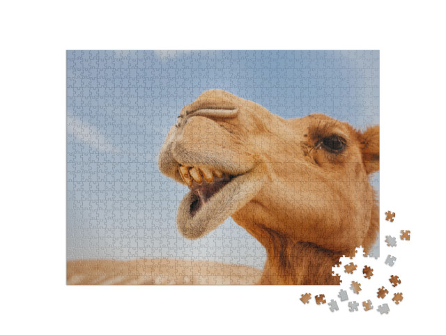 Camel in Israel Desert, Funny Close Up... Jigsaw Puzzle with 1000 pieces