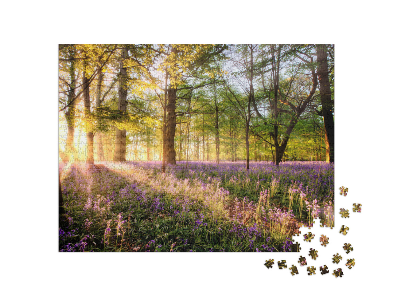 Amazing Sunrise Through Bluebell Woodland. Wild Spring Fl... Jigsaw Puzzle with 1000 pieces