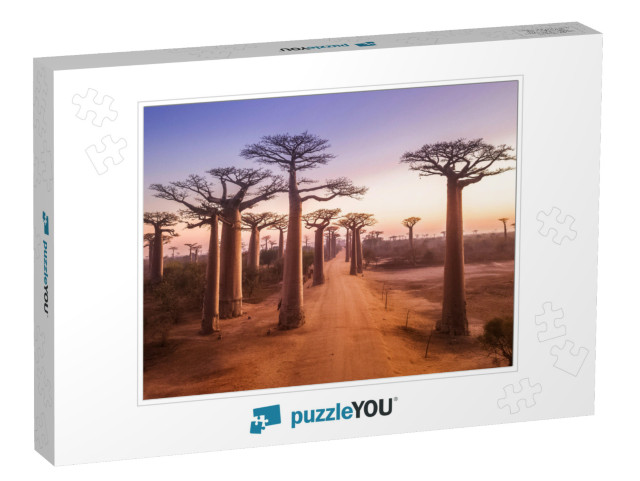 Beautiful Baobab Trees At Sunset At the Avenue of the Bao... Jigsaw Puzzle