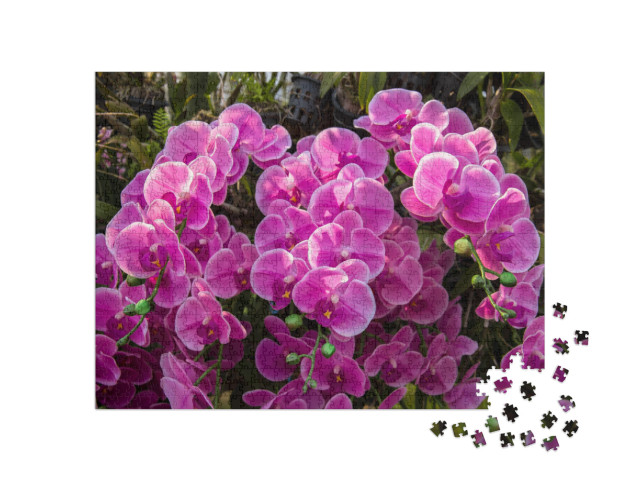 Orchid Flower in Orchid Garden At Winter or Spring Day. O... Jigsaw Puzzle with 1000 pieces