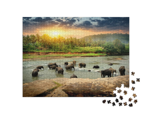 Herd of Elephants Bathing in the Jungle River of Sri Lank... Jigsaw Puzzle with 1000 pieces