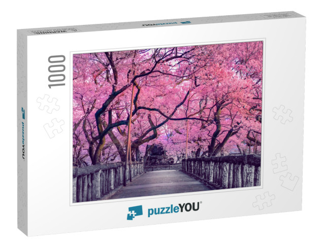 Beautiful Pink Cherry Trees Blooming Extravagantly At the... Jigsaw Puzzle with 1000 pieces