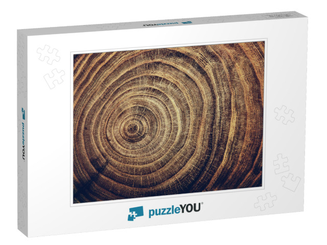 Stump of Oak Tree Felled - Section of the Trunk with Annu... Jigsaw Puzzle