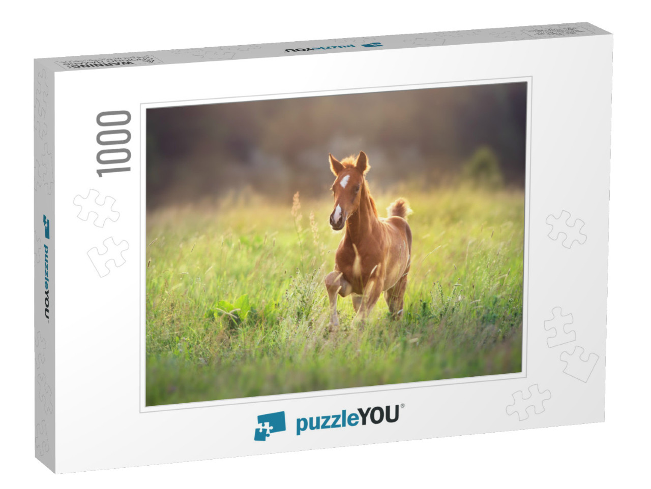 Beautiful Red Foal Run & Fun on Spring Green Sunrise Fiel... Jigsaw Puzzle with 1000 pieces