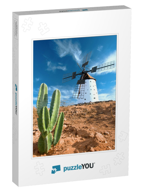 Cactus & Traditional Windmill on Fuerteventura, Canary Is... Jigsaw Puzzle