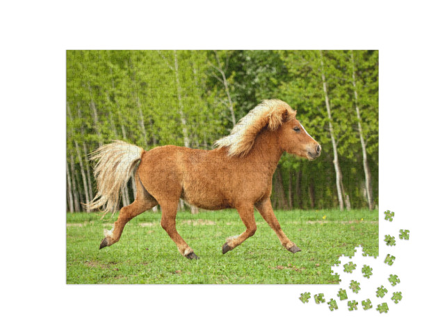 Cute Red Pony Running Trot At Field in Summer... Jigsaw Puzzle with 1000 pieces