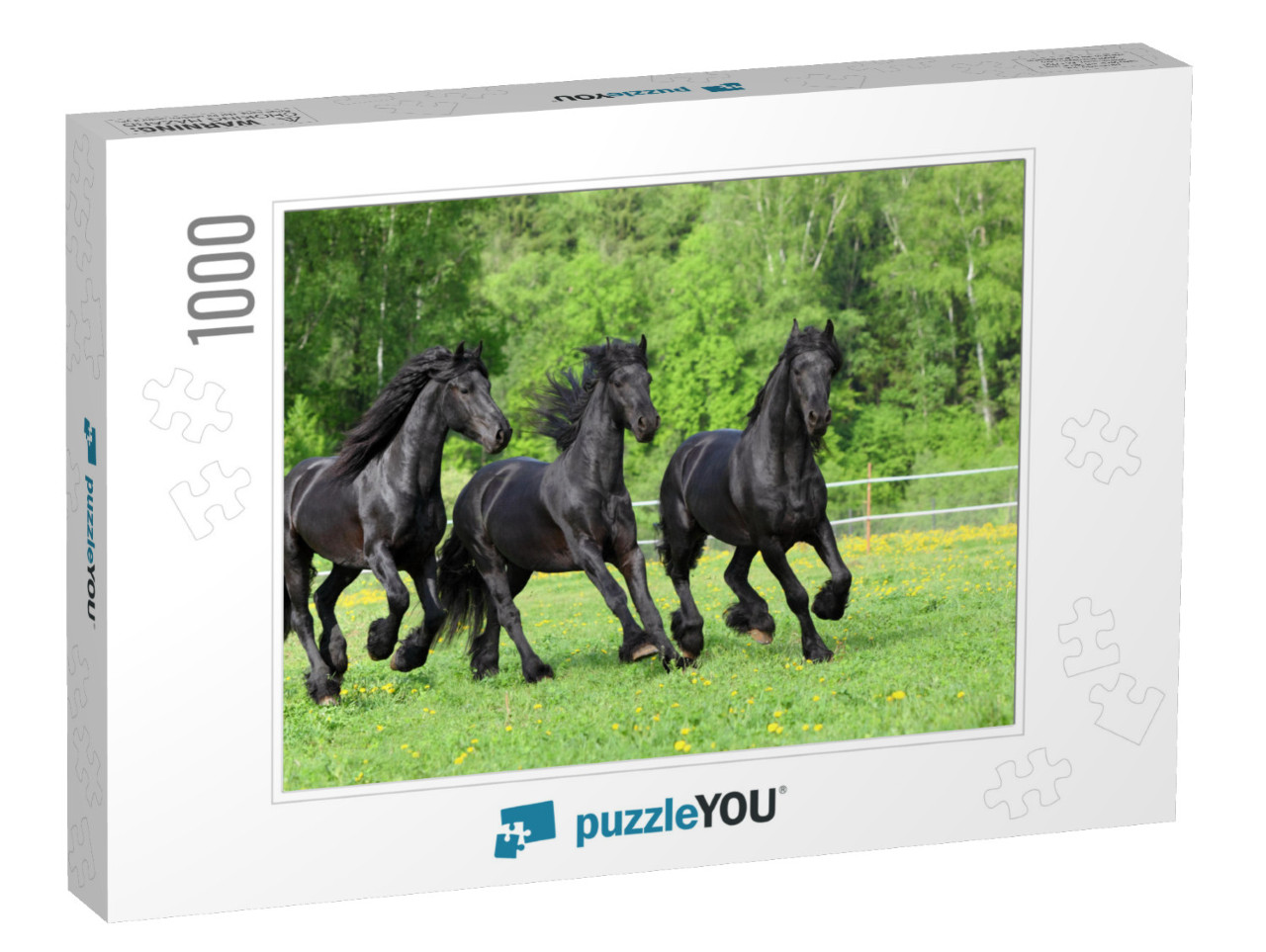 Three Dressage Friesian Horse Portrait in Outdoor... Jigsaw Puzzle with 1000 pieces