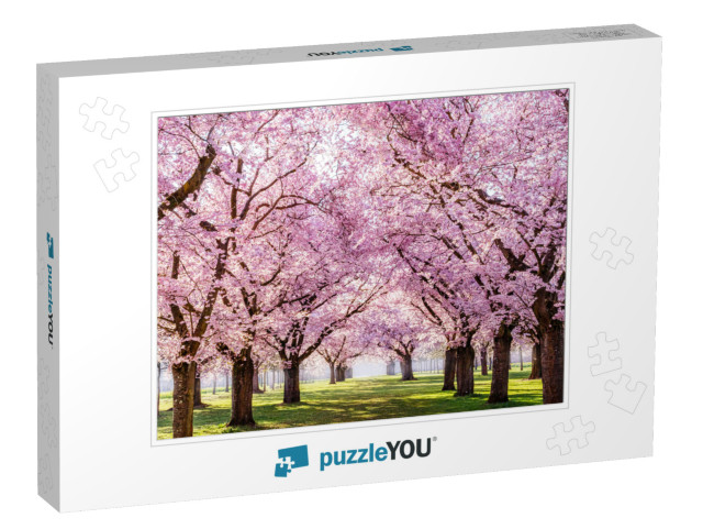 Sakura Cherry Blossoming Alley. Wonderful Scenic Park wit... Jigsaw Puzzle