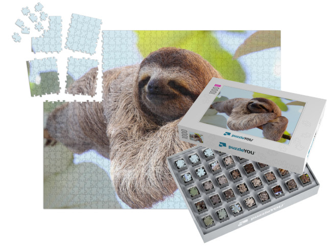 Happy Sloth Hanging on the Tree... | SMART SORTED® | Jigsaw Puzzle with 1000 pieces