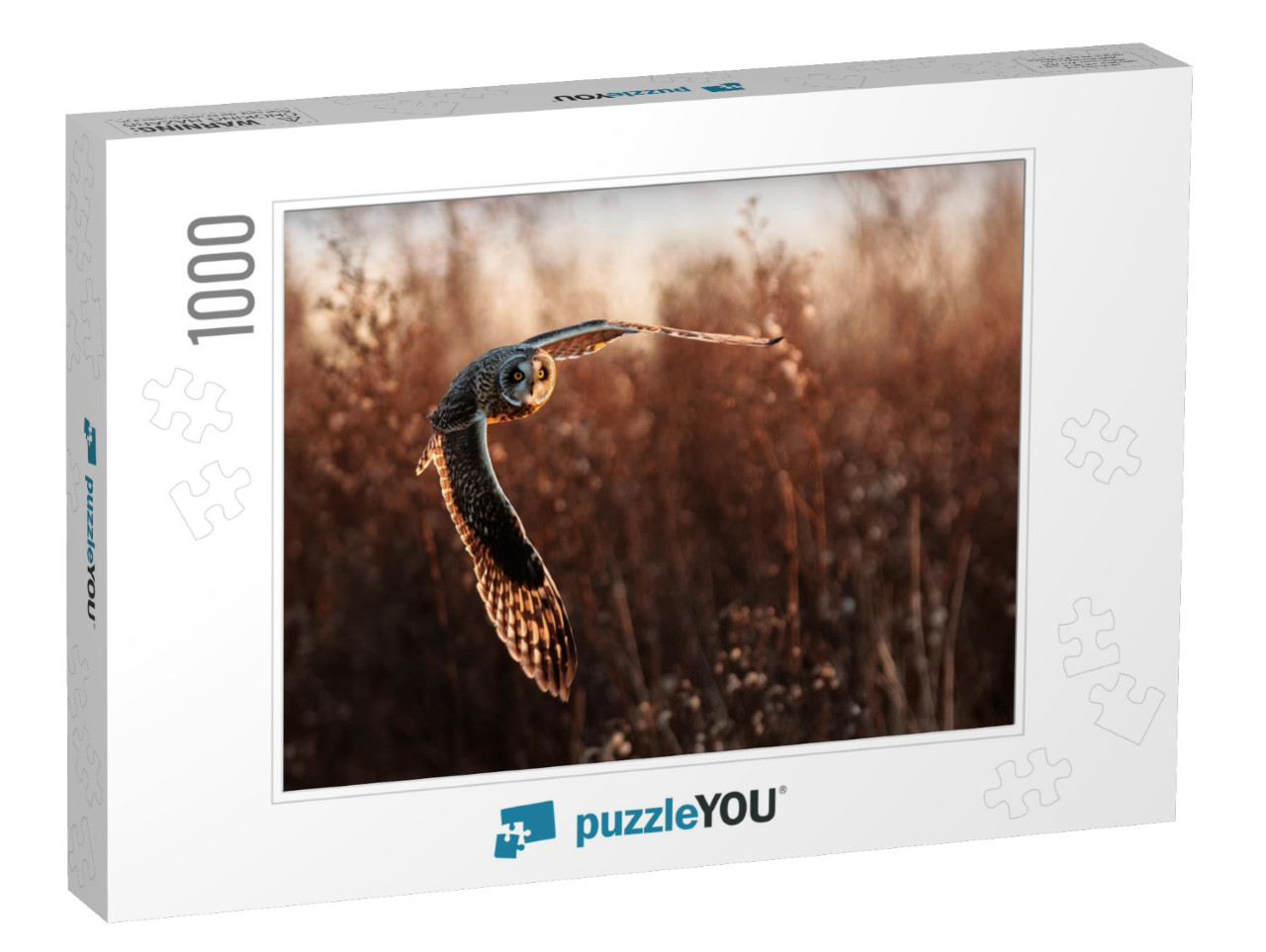 Short Eared Owl in Flight Hunting... Jigsaw Puzzle with 1000 pieces