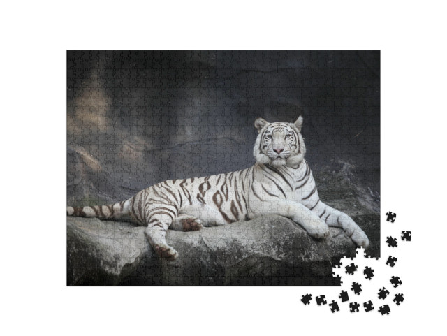 White Tiger... Jigsaw Puzzle with 1000 pieces