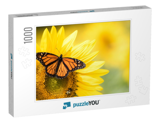 Monarch Butterfly, Danaus Plexippus, on Bright Yellow Sun... Jigsaw Puzzle with 1000 pieces