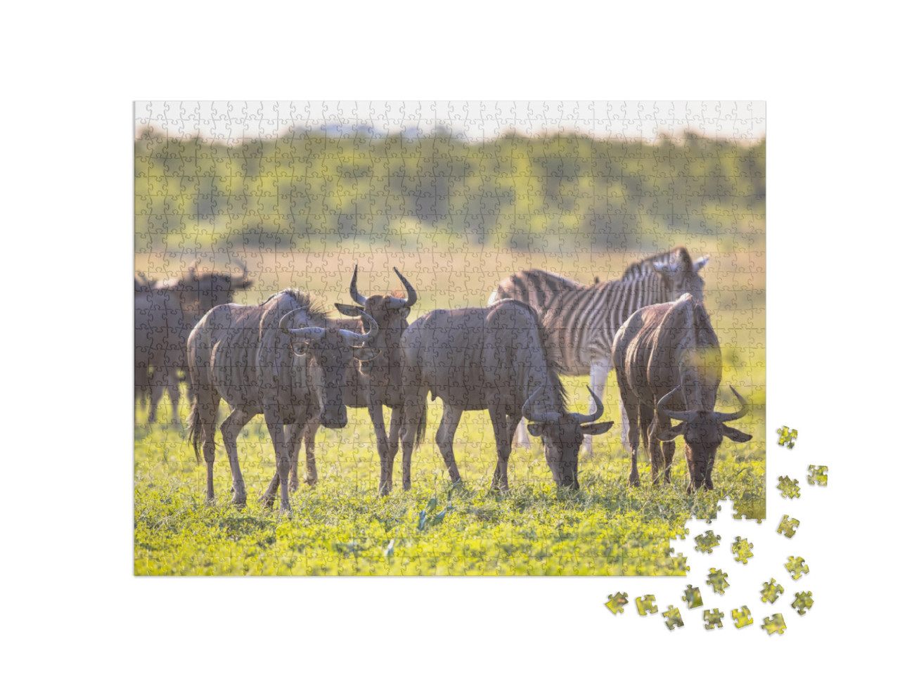 Common Blue Wildebeest or Brindled Gnu Connochaetes Tauri... Jigsaw Puzzle with 1000 pieces