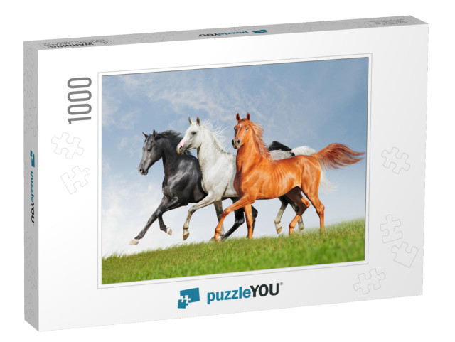 Three Arab Horse Runs Free... Jigsaw Puzzle with 1000 pieces