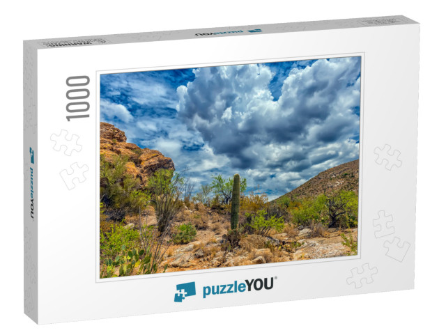 Desert Landscape in Saguaro National Park... Jigsaw Puzzle with 1000 pieces