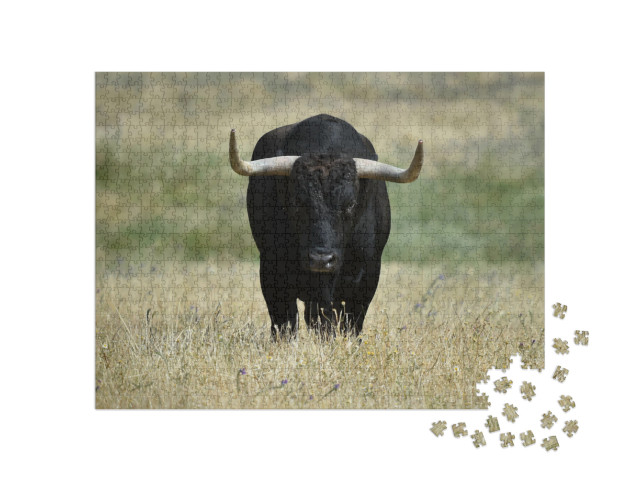 A Black Bull with Big Horns on the Field... Jigsaw Puzzle with 1000 pieces