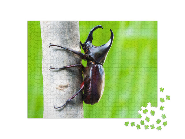 Male Rhinoceros Beetle, Rhino Beetle, Hercules Beetle, Un... Jigsaw Puzzle with 1000 pieces