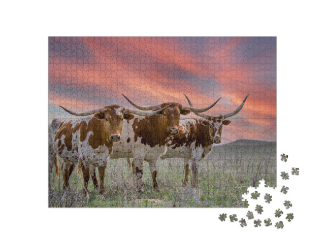 Texas Longhorn Cattle At Sunset in a Pasture in the Oklah... Jigsaw Puzzle with 1000 pieces