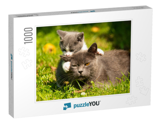 Kitten Mother Cat Kisses. Cat Hugs Kitten & Presses His F... Jigsaw Puzzle with 1000 pieces