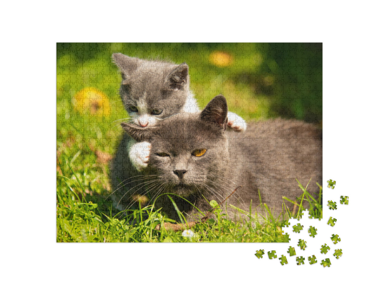 Kitten Mother Cat Kisses. Cat Hugs Kitten & Presses His F... Jigsaw Puzzle with 1000 pieces