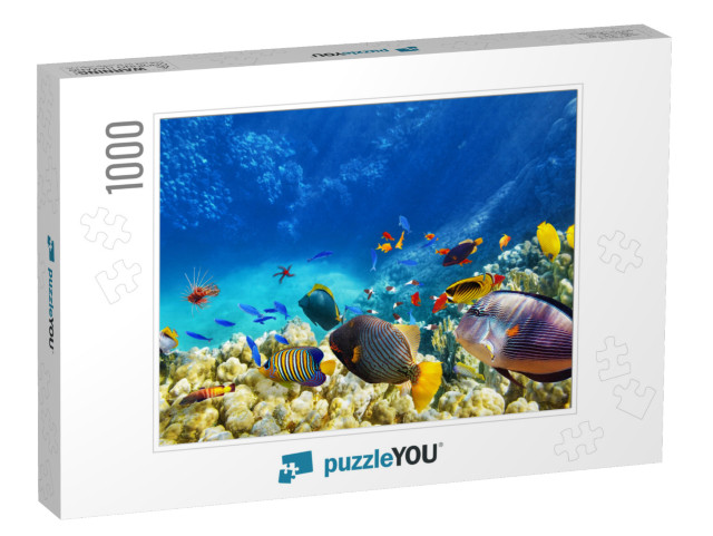 Wonderful & Beautiful Underwater World with Corals & Trop... Jigsaw Puzzle with 1000 pieces