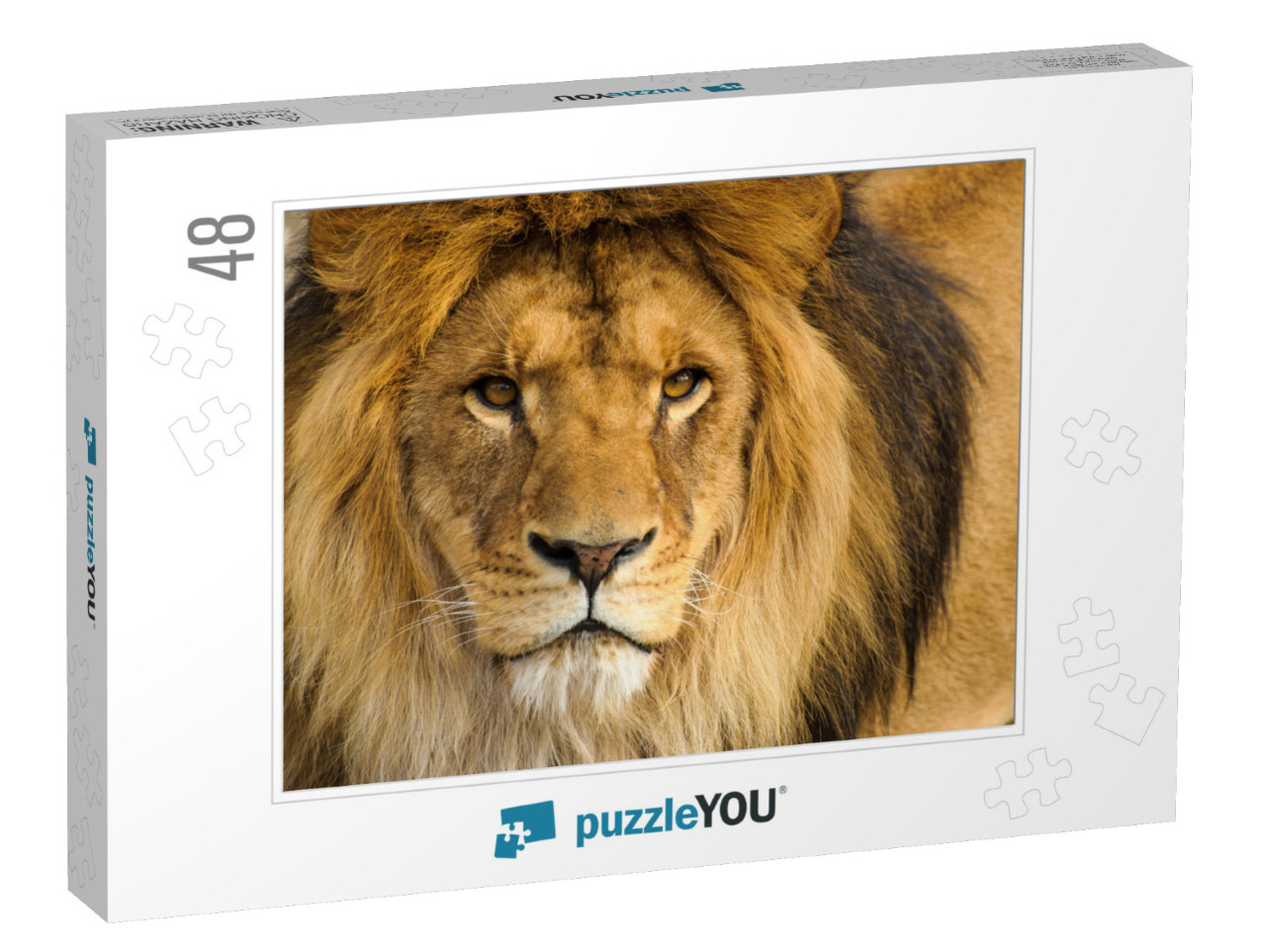 Beautiful Mighty Lion... Jigsaw Puzzle with 48 pieces