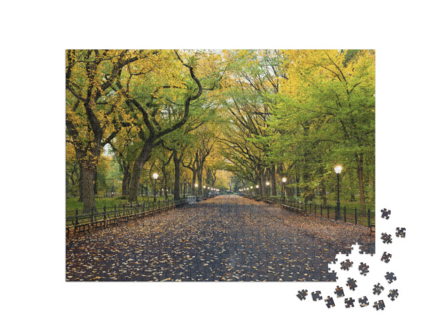 Central Park. Image of the Mall Area in Central Park, New... Jigsaw Puzzle with 1000 pieces