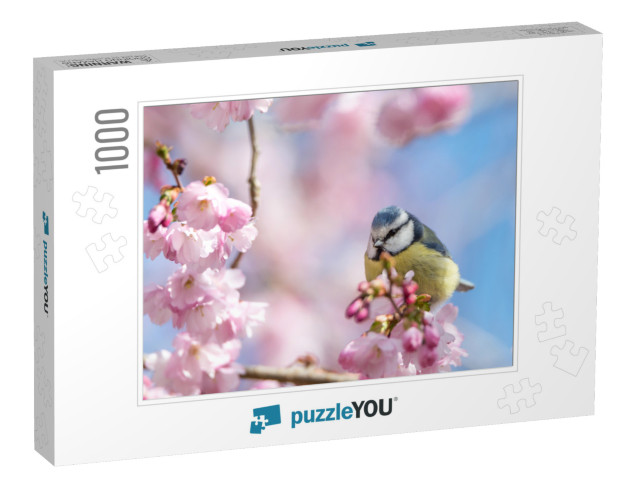 A Blue Tit Sits on a Beautiful Branch with Cherry Blossom... Jigsaw Puzzle with 1000 pieces