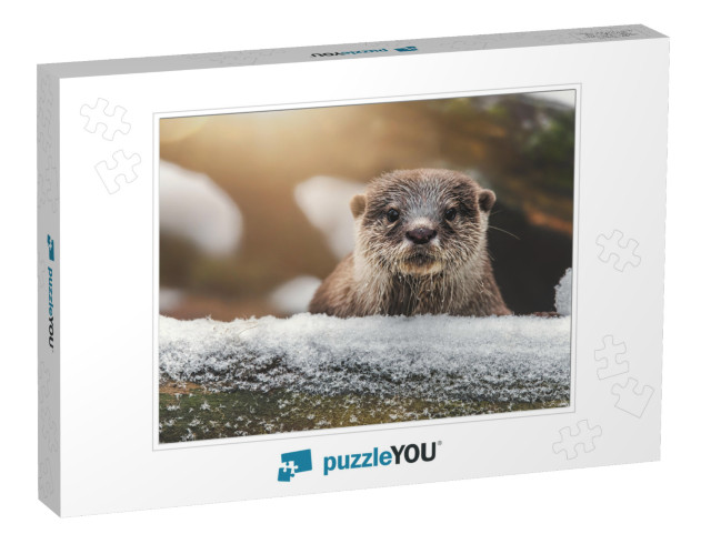 Otter Lutra Lutra & Her Cuteness & Her Funny Face... Jigsaw Puzzle