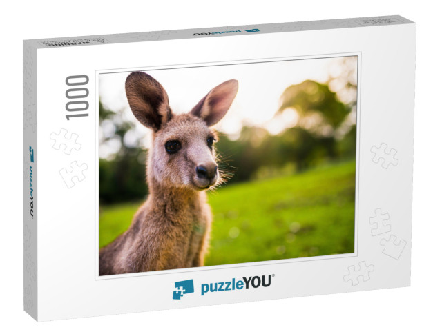 Young Kangaroo on East Coast of Australia. Close Up of He... Jigsaw Puzzle with 1000 pieces