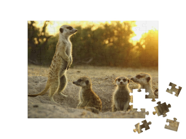 Meerkat the Most Funny Animal. Namibia Wild Life... Jigsaw Puzzle with 100 pieces