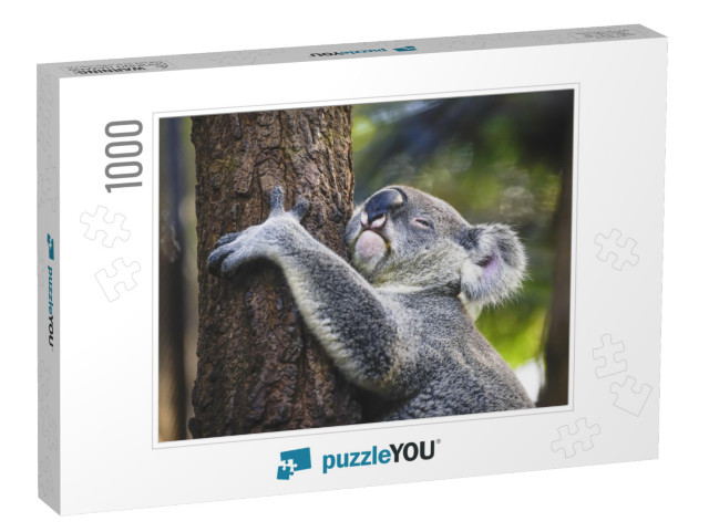 Koala on the Tree... Jigsaw Puzzle with 1000 pieces