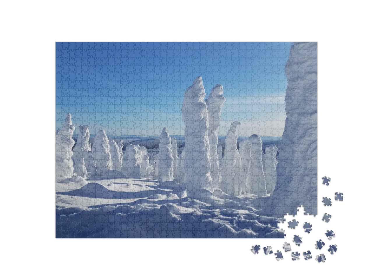 The Enchanted Forest of the Arctic Circle, Alaska Unusual... Jigsaw Puzzle with 1000 pieces