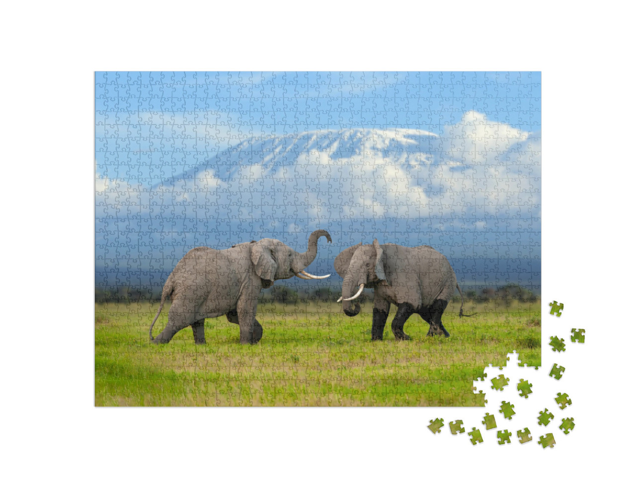 Large Adult Elephant with a Snow Covered Mount Kilimanjar... Jigsaw Puzzle with 1000 pieces