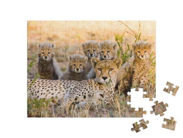 Mother Cheetah & Her Cubs in the Savannah. Kenya. Tanzani... Jigsaw Puzzle with 100 pieces