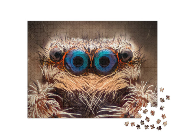 Extreme Magnification - Jumping Spider Portrait, Front Vi... Jigsaw Puzzle with 1000 pieces