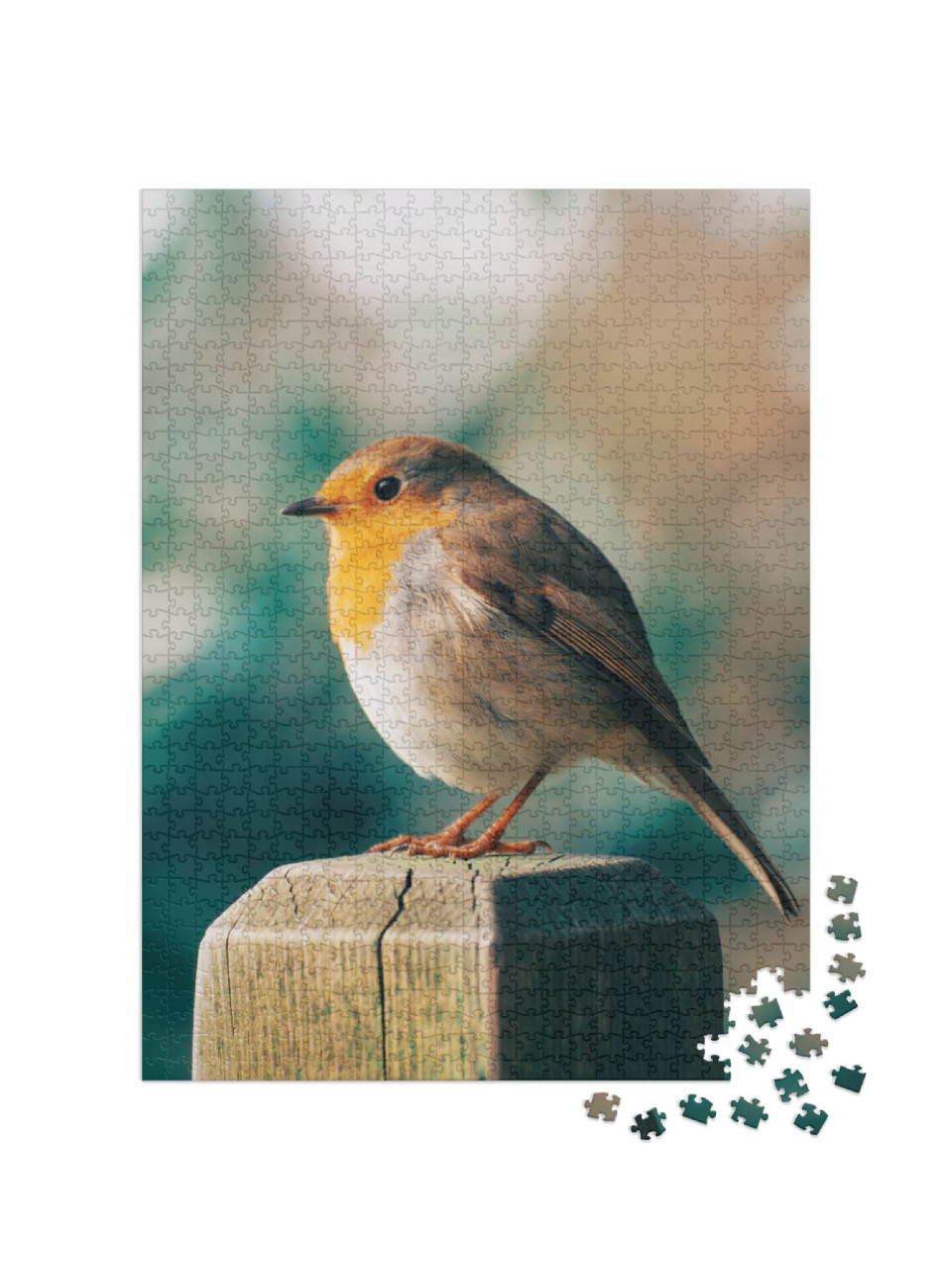 Robin Red Breasted Stands Patiently on the Fence. Beige &... Jigsaw Puzzle with 1000 pieces