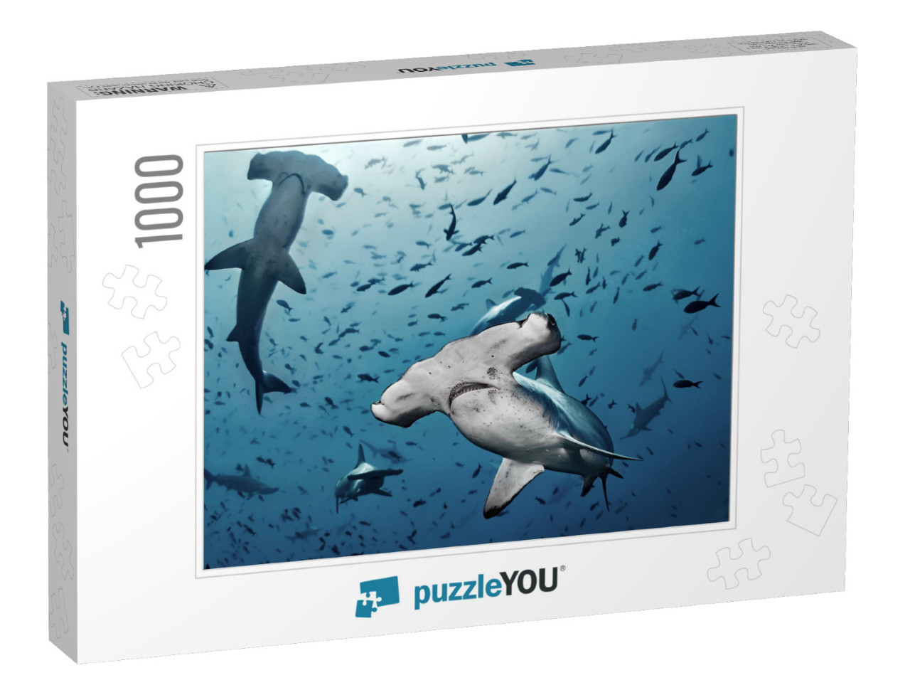 Hammerhead Shark, Cocos Island, Costa Rica/Close Contact... Jigsaw Puzzle with 1000 pieces