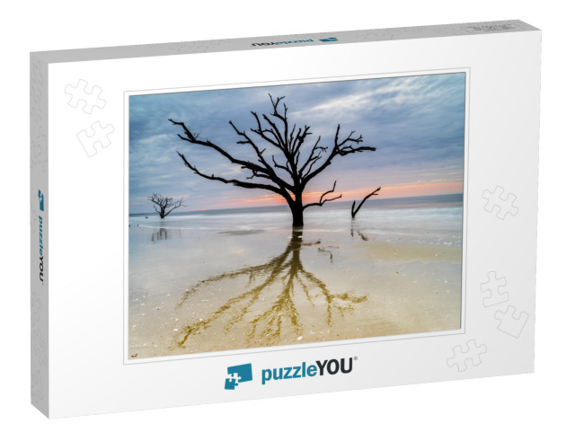 An Aged, Weathered Oak Tree Lingers on the Edisto Island... Jigsaw Puzzle