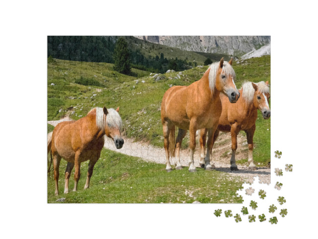 Haflinger Horses in a Group of Three with White Manes on... Jigsaw Puzzle with 1000 pieces