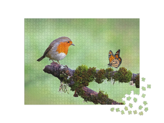 Beautiful Background Image of a Wild Robin Erithacus Rube... Jigsaw Puzzle with 1000 pieces