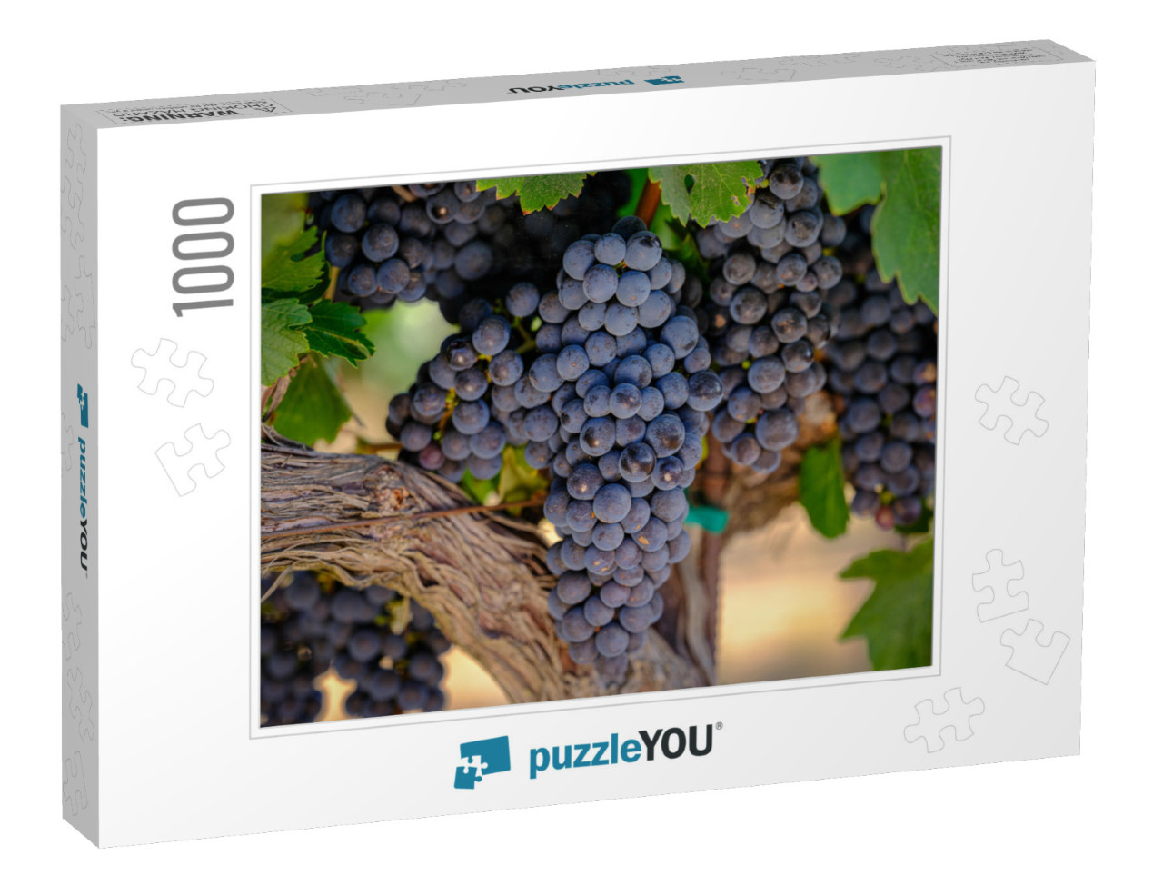 A Bunch of Red Grapes on the Vine Growing for the Wine In... Jigsaw Puzzle with 1000 pieces