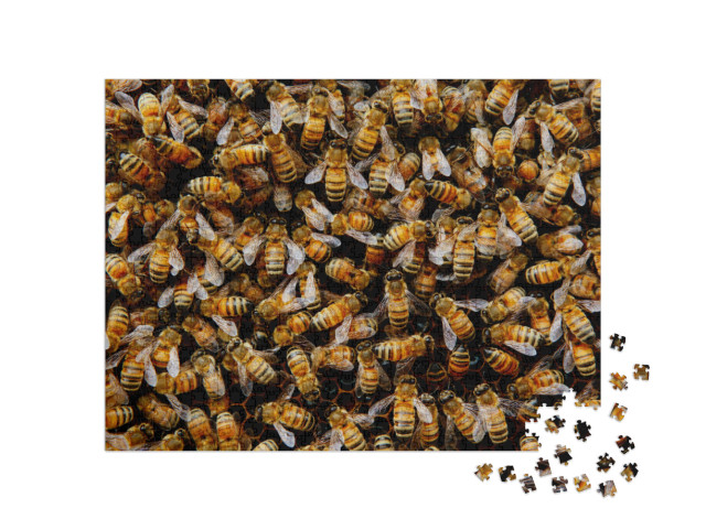 Swarming Bee Colony Congregating Around Their Queen... Jigsaw Puzzle with 1000 pieces